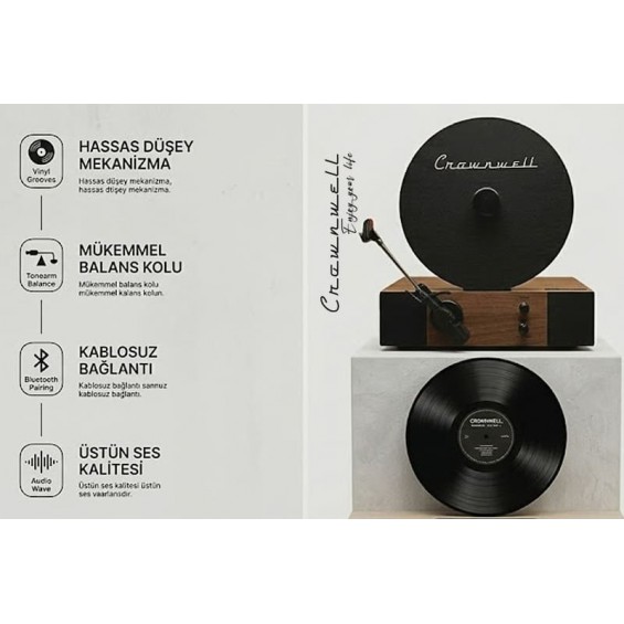 Crownwell Dikey Tasarımlı Retro-Modern Pikap